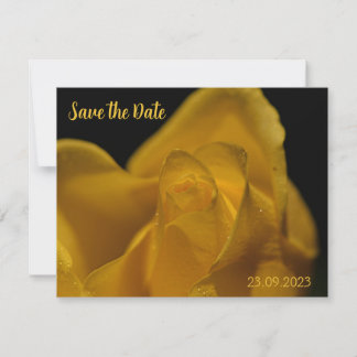 Elegant Single Yellow Rose Close Up Save the Date Holiday Card