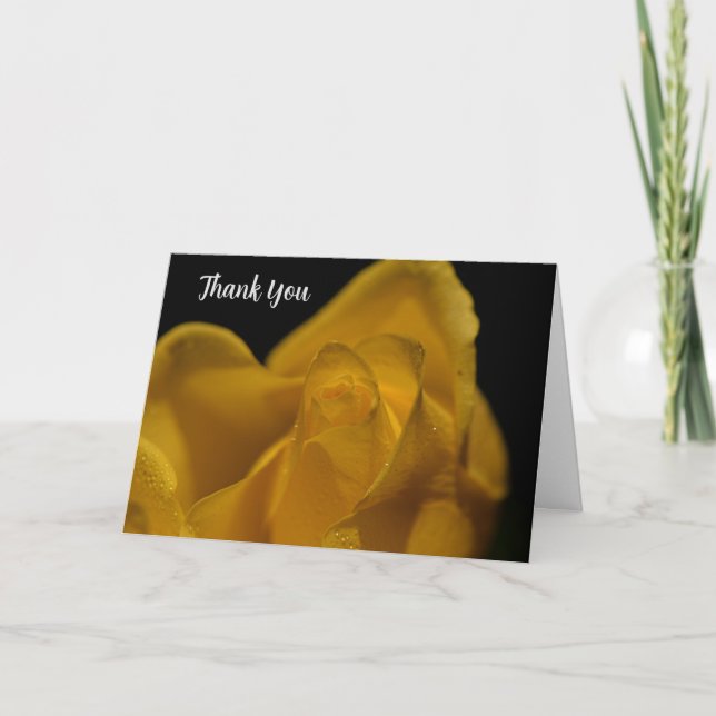 Elegant Single Yellow Rose Close Up Thank You Card (Front)