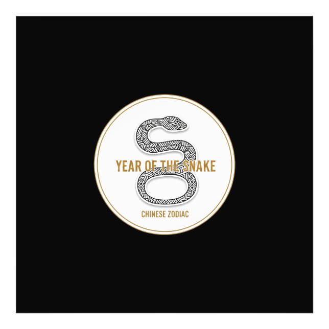 Elegant Snake - Luxury Chinese Zodiac Art & Mystic Photo Print (Front)