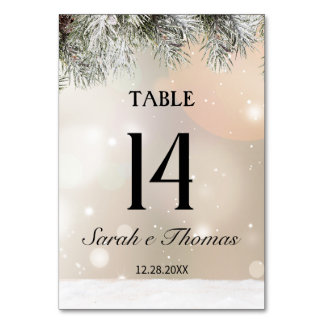 Elegant snowy Christmas table number