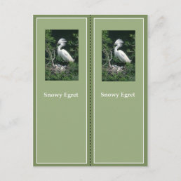 Elegant Snowy Egret Bookmark Postcard
