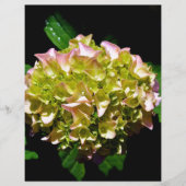 Elegant soft green pink floral hydrangeas (Front)
