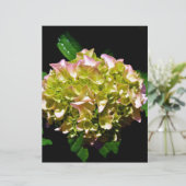 Elegant soft green pink floral hydrangeas (Standing Front)