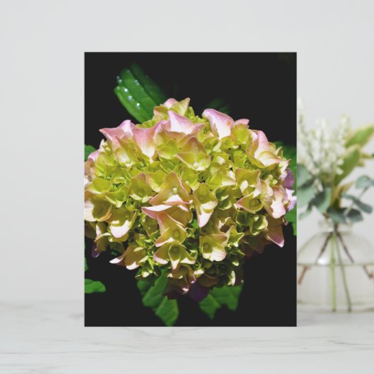 Elegant soft green pink floral hydrangeas (Standing Front)