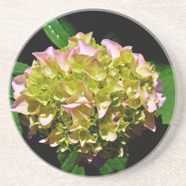 Elegant soft green pink green floral hydrangea drink coaster (Front)
