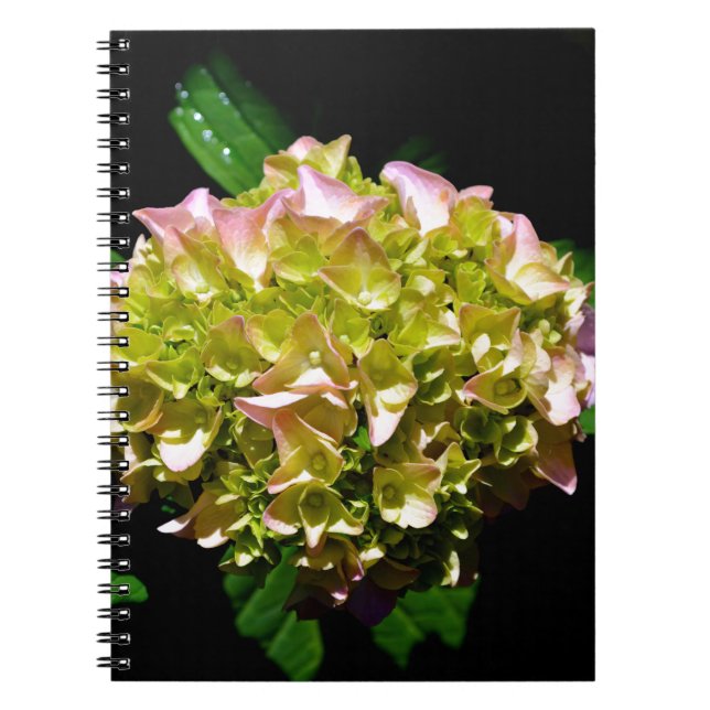 Elegant soft green pink green floral hydrangea notebook (Front)