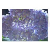 Elegant soft light purple floral purple hydrangeas (Front Horizontal)