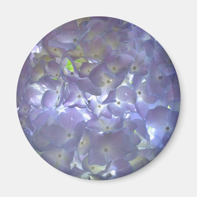 Elegant soft light purple floral purple hydrangeas magnet (Front)