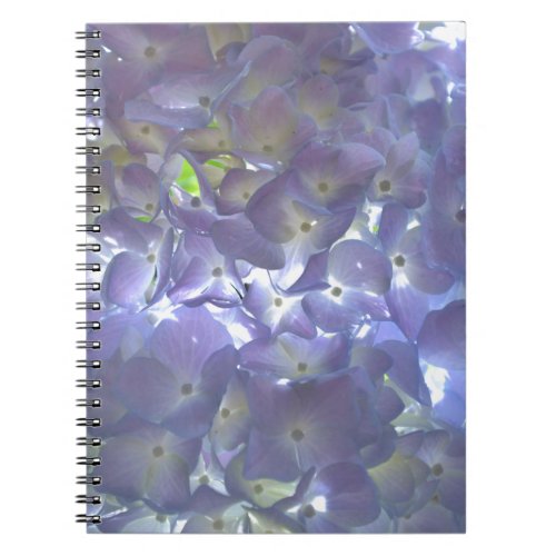 Elegant soft light purple floral purple hydrangeas notebook