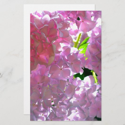 Elegant soft pink florals pink hydrangeas roses (Front/Back)