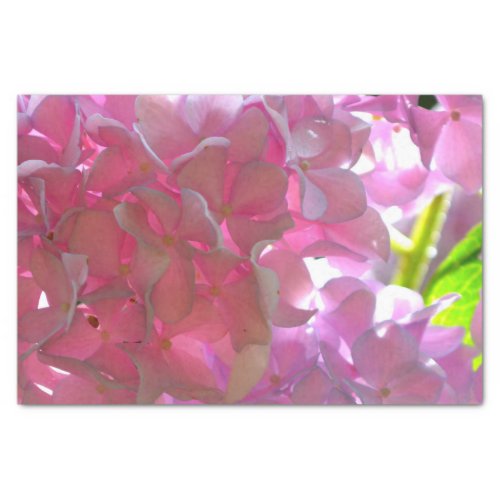 Elegant soft pink florals pink hydrangeas roses tissue paper