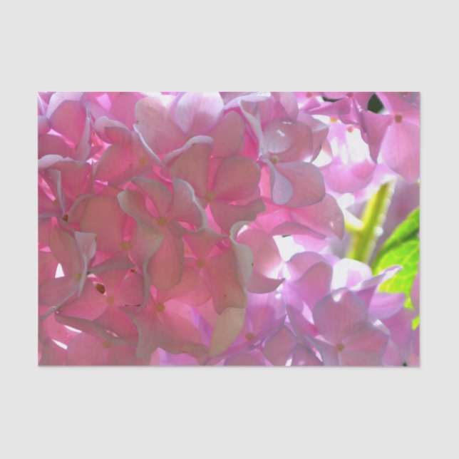 Elegant soft pink florals pink hydrangeas roses tissue paper (Front)
