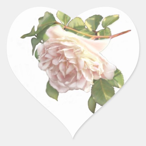 elegant soft pink white rose bud heart sticker