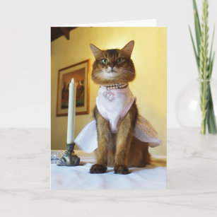 Elegant Somali Cat Invitation, Party, or Greeting Card
