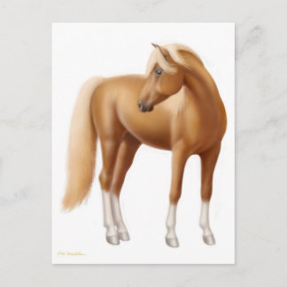Elegant Sorrel Horse Postcard