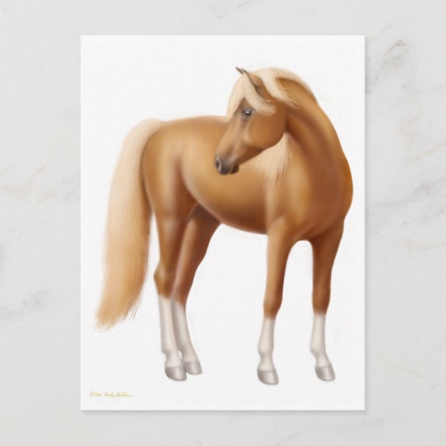Elegant Sorrel Horse Postcard (Front)