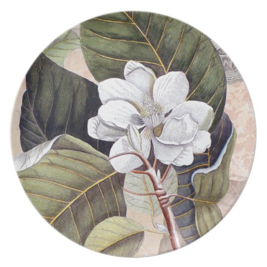 Elegant Southern White Magnolia Catesby Dinner Plate (Front)