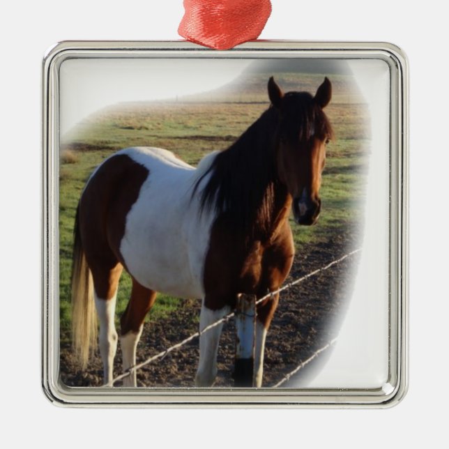 Elegant Square Metal Ornament (Front)