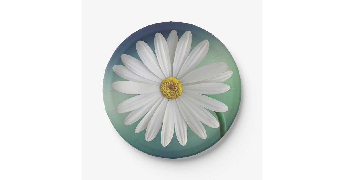 Elegant,Stylish, White Daisy Paper Plates Zazzle