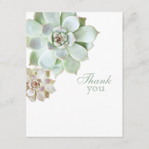 Elegant Succulent Graduation Blank Thank You