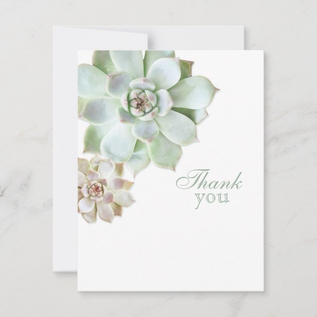 Elegant Succulent Graduation Blank Thank You (Front)
