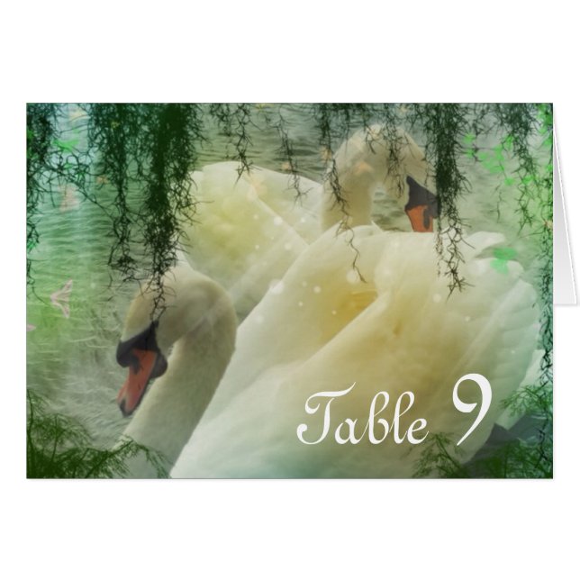elegant summer lake white swan wedding (Front Horizontal)