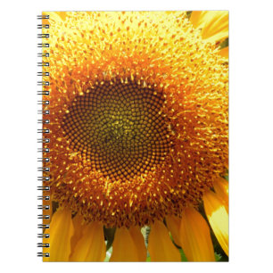 Elegant sunflower photo notebook