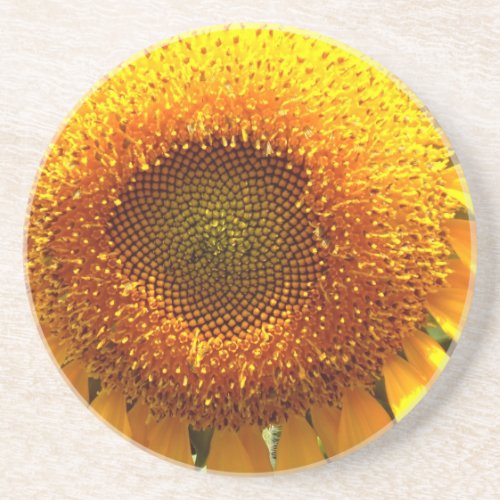 Elegant sunflower photo sandstone coaster