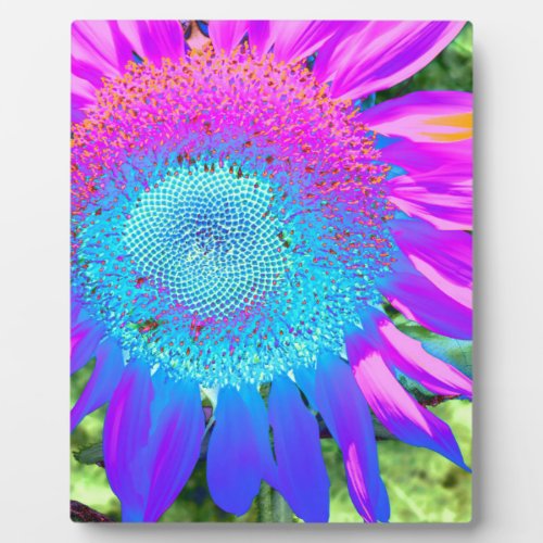 Elegant sunflower purple pink blue floral  plaque