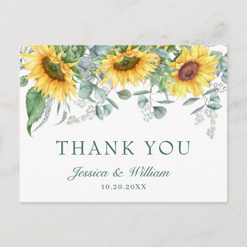 Elegant Sunflowers Eucalyptus Floral Thank You Postcard