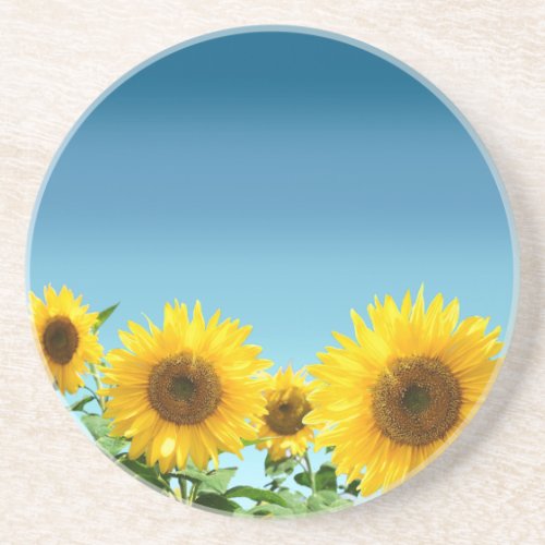 Elegant Sunflowers on Sky Blue Shades Beverage Coa Coaster