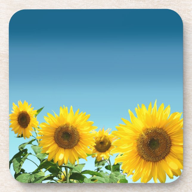 Elegant Sunflowers on Sky Blue Shades Beverage Coaster (Front)