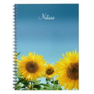 Elegant Sunflowers on Sky Blue Shades