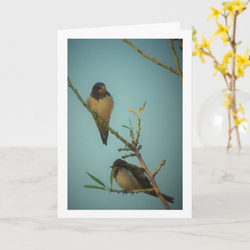 Elegant Swallow Birds Portrait Card