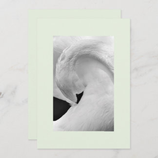 Elegant swan invitations 5x7 for wedding etc.