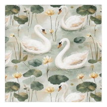 Elegant swans