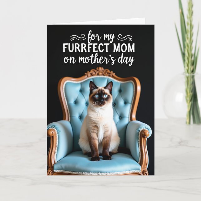 Elegant Swirls Pattern Cat Card (Front)