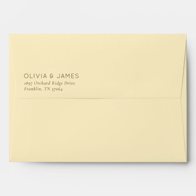 Elegant Taupe Minimalist Address Envelope (Back (Top Flap))