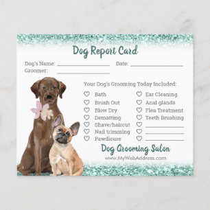 Elegant Teal Glitter Dog Grooming Report Card Flyer