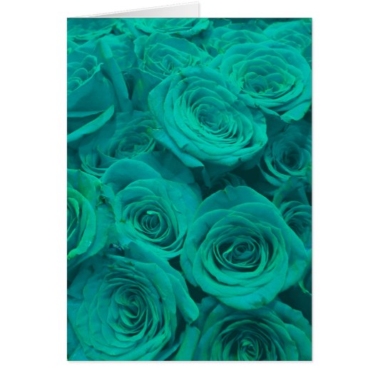 Elegant teal green roses cards (Front)
