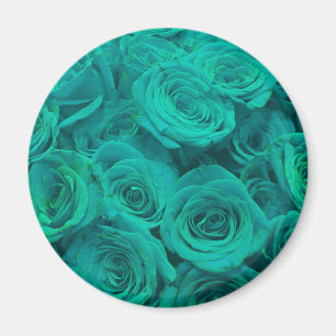 Elegant teal green roses magnet