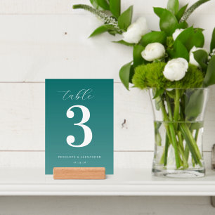 Elegant Teal Number Display Holder