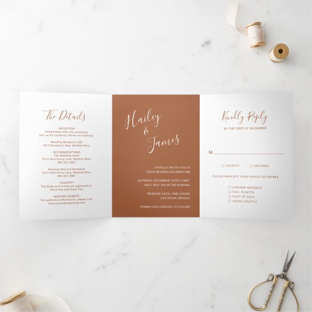 Elegant Terracotta Modern Wedding Tri-Fold Invitation (Inside)