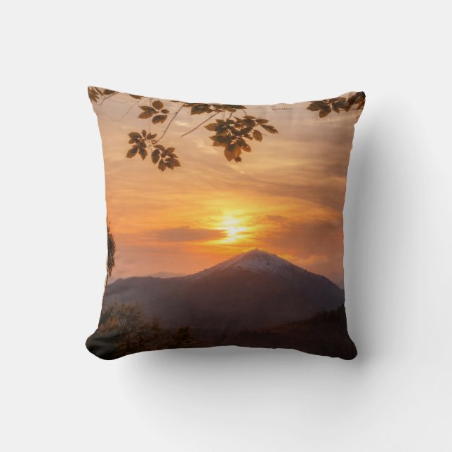 elegant throw pillow (Front)