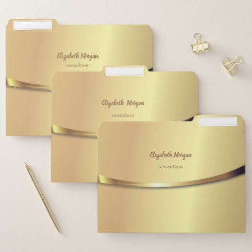 Elegant Trendy  Gold Background File Folder