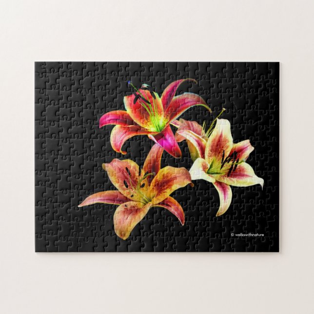 Elegant Trio of Yellow Pink Daylilies Floral Jigsaw Puzzle (Horizontal)