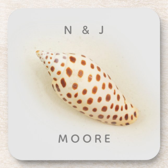 Elegant Tropical Junonia Florida Beach Shell Name Beverage Coaster (Front)