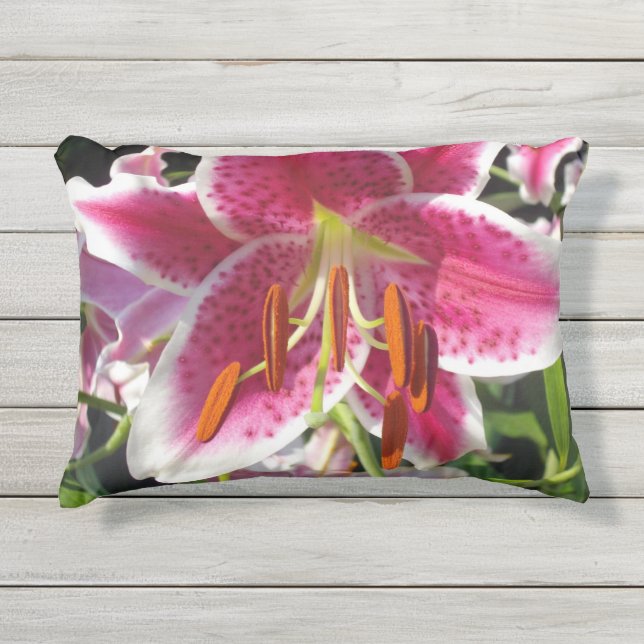 Elegant tropical pink flowers classic lily outdoor pillow (Front)