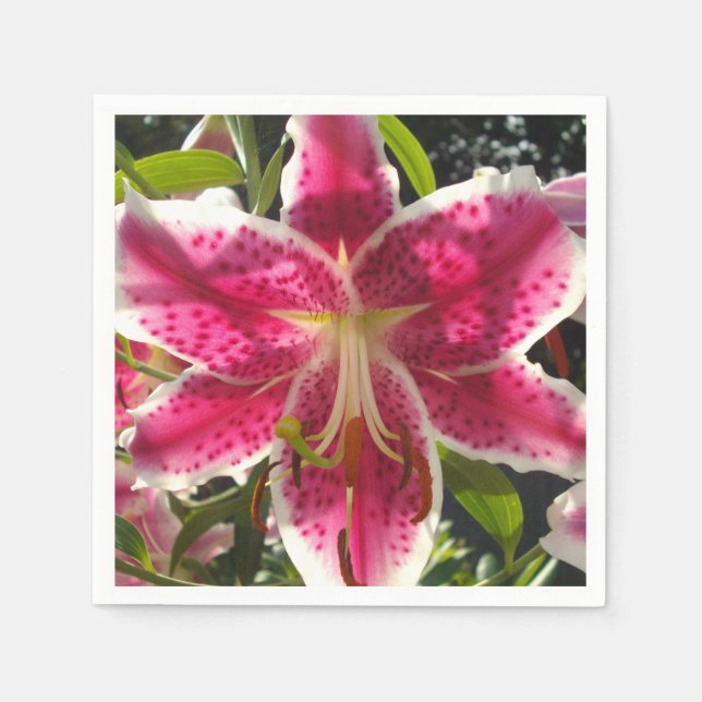 Elegant tropical pink flowers classic lily paper napkins (Front)