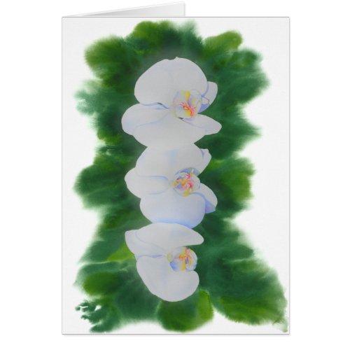 Elegant tropical white watercolor orchid painting 